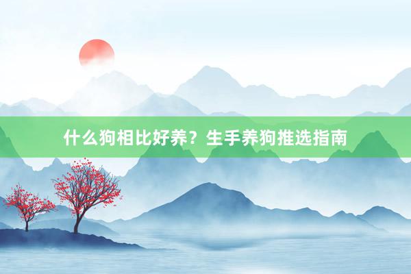 什么狗相比好养？生手养狗推选指南