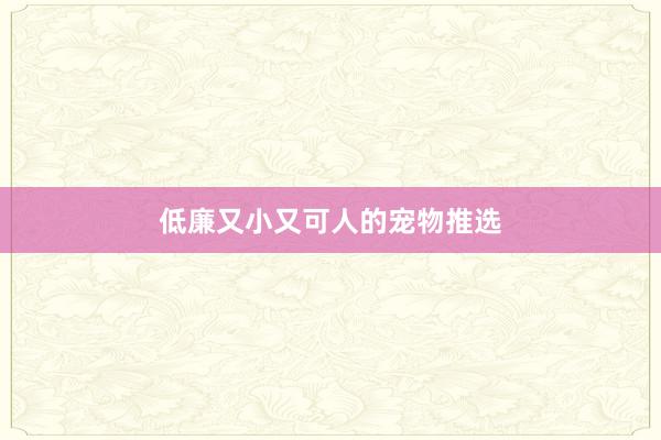 低廉又小又可人的宠物推选